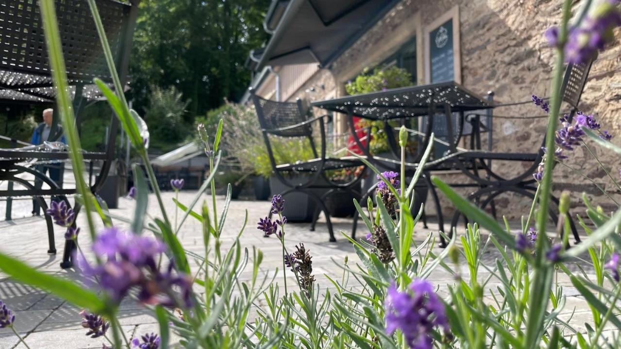 Cafe Ilse - Ferienwohnungen Ranis Eksteriør billede